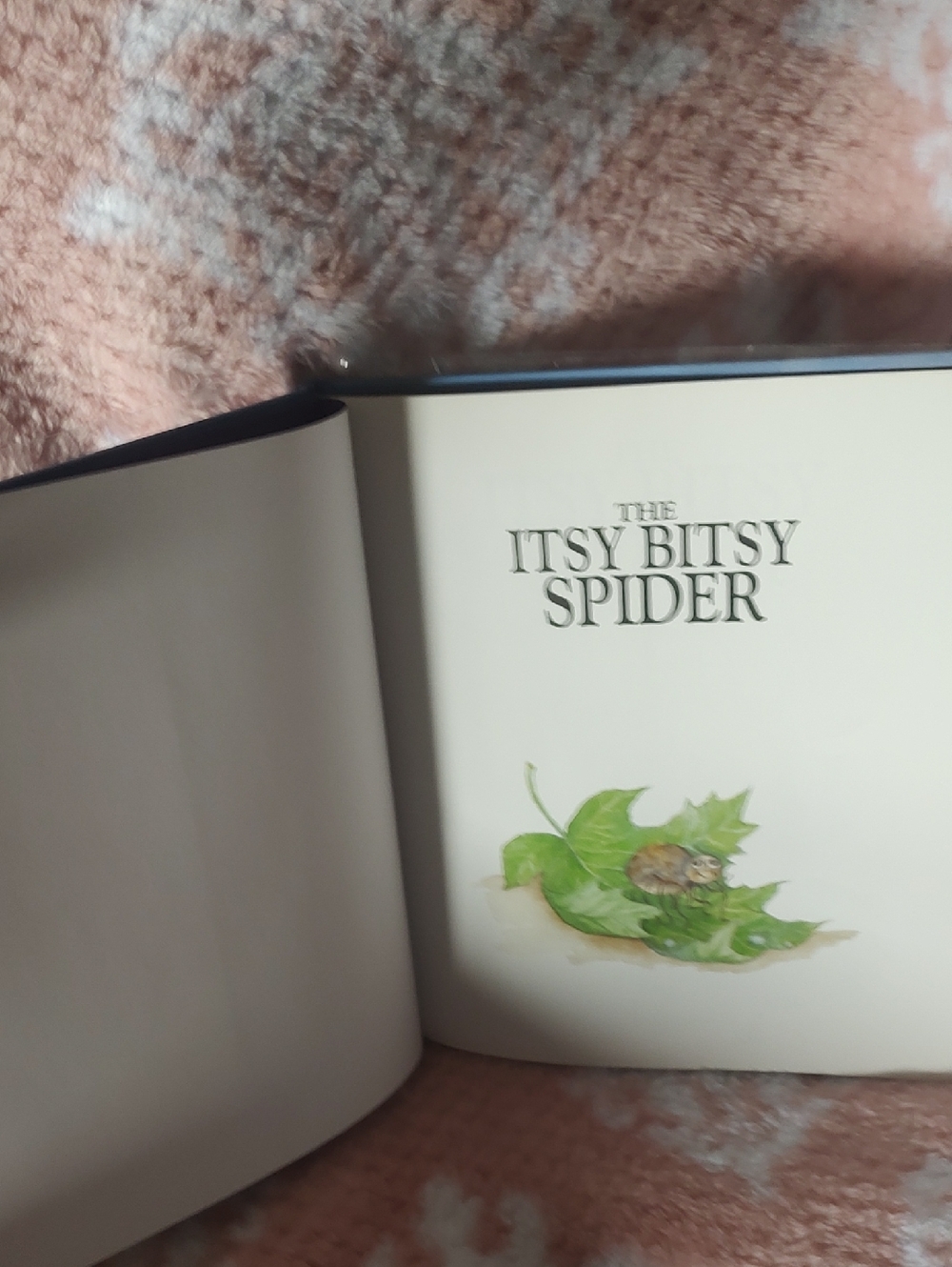 The Itsy Bitsy Spider - Illustrated Children’s Book/1993 - Picture 4 of 10